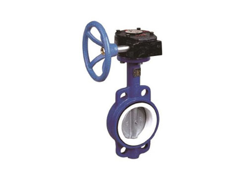 對夾單偏心蝸輪蝶閥